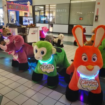Stuffy Riders - Rent Me! - Kids Activities Near Me - Calgary, Alberta Stuffy Riders - Rent Me! - Kids Activities Near Me - Calgary, Alberta
