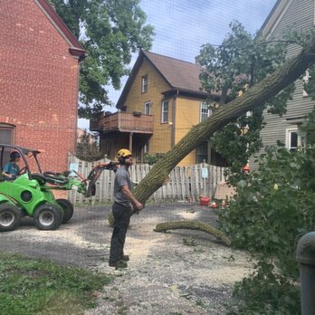 JM Tree - They worked together in a seamless fashion - Tree Services Near Me - Rochester, New York