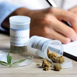 420 Miami Doctor