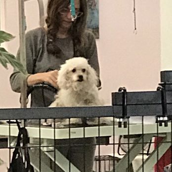 Bow Wow Pet Grooming - So relaxed as she's getting a haircut. - Pet Groomers Near Me - Ventura, California Bow Wow Pet Grooming - So relaxed as she's getting a haircut. - Pet Groomers Near Me - Ventura, California