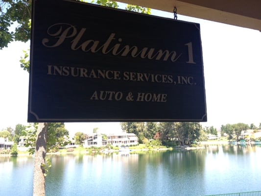 PLATINUM 1 INSURANCE SERVICES - Updated June 2026 - 16 Reviews - 32107 ...