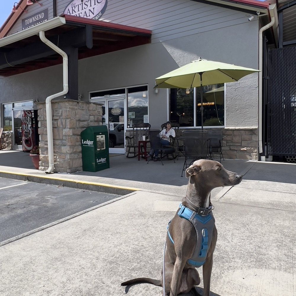 The Artistic Bean - Also great puppicinos! - Coffee Roasteries Near Me - Townsend, Tennessee The Artistic Bean - Also great puppicinos! - Coffee Roasteries Near Me - Townsend, Tennessee