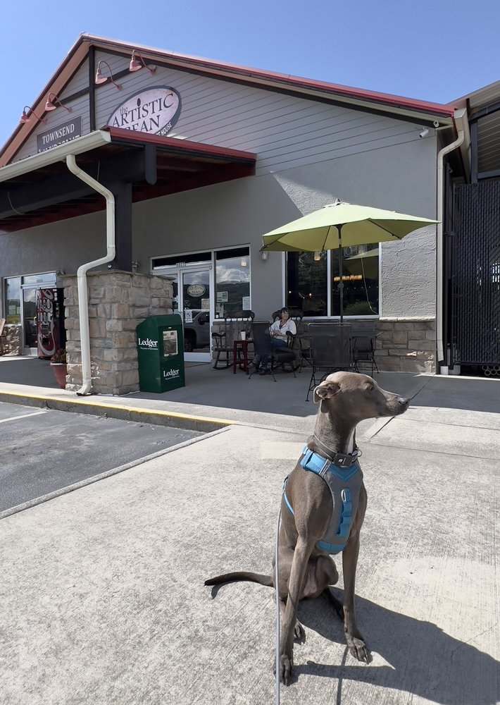 The Artistic Bean Logo