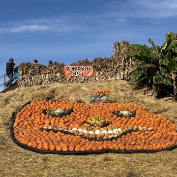 Bauman's Farm and Garden - Fruits & Veggies Near Me - Gervais, Oregon