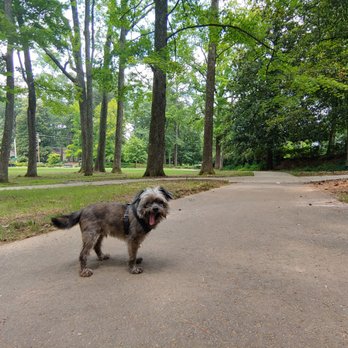 Avondale Park - Shhhh When no one's around, its a no leash day, and he just walks himself. - Parks Near Me - Avondale Estates, Georgia