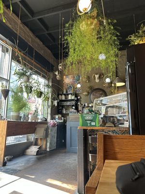 Chez Alex by null