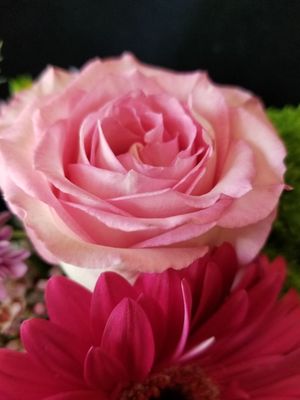 Rosemary & Pepper Flower Co by null