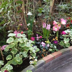 The Pavilion Gardens