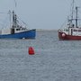 Photo of Rocky Neck Fish