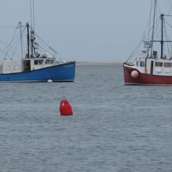 Rocky Neck Fish - Chatham, MA