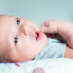 Little Elf Family Services - Expecting a baby? Join us for "Bringing Baby Home" classes or for "What's My Baby Saying?"