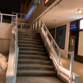 Mayflower Chinese Food - Stairs! - Chinese Near Me - Etobicoke, Ontario