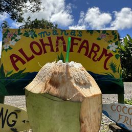Fresh Coconut Fresh Coconut
