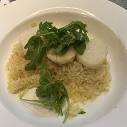Diver scallops Diver scallops