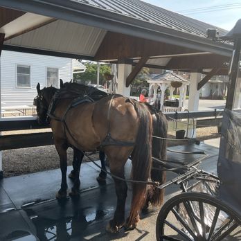 AAA Buggy Rides - Tours Near Me - Ronks, Pennsylvania AAA Buggy Rides - Tours Near Me - Ronks, Pennsylvania