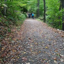 Merck Forest & Farmland Center - Hiking trails