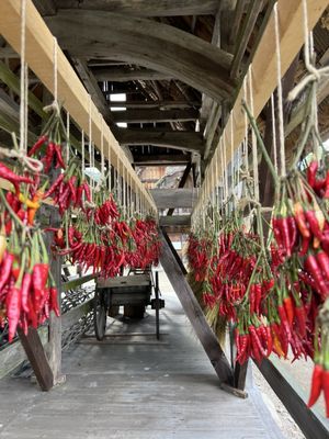 Shirakawa-go by null