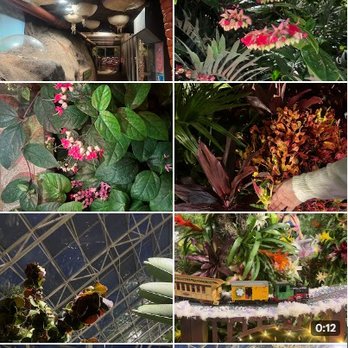 Foellinger-Freimann Botanical Conservatory - Botanical Gardens Near Me - Fort Wayne, Indiana