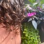 Photo of Nimba Braids and Salon