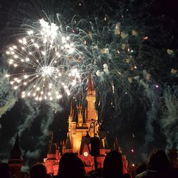 See Sea's Escapes - Disney fireworks nightly