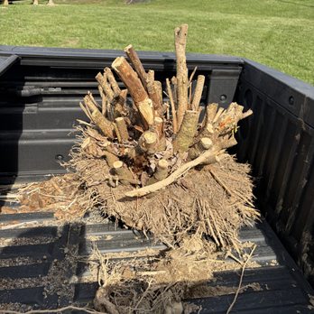 CNXN Handyman Services - Stump Haul away - Handyman Near Me - Washingtonville, New York CNXN Handyman Services - Stump Haul away - Handyman Near Me - Washingtonville, New York