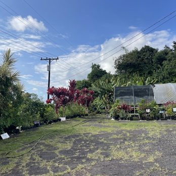 Tropical Edibles Nursery - Nurseries & Gardening Near Me - Captain Cook, Hawaii Tropical Edibles Nursery - Nurseries & Gardening Near Me - Captain Cook, Hawaii