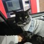 Photo of Kowaliga Whole Health Pet Care