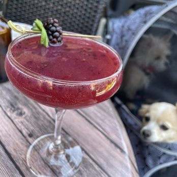 Oakside - Basil Berry Vodka drink, delish! - Seafood Near Me - Big Bear Lake, California Oakside - Basil Berry Vodka drink, delish! - Seafood Near Me - Big Bear Lake, California