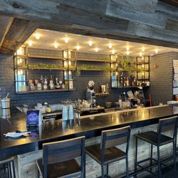 ZUBU - Bar counter~