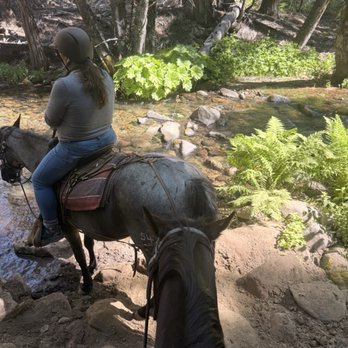 Yosemite Trails Horseback Adventures - Horseback Riding Near Me - Fish Camp, California Yosemite Trails Horseback Adventures - Horseback Riding Near Me - Fish Camp, California