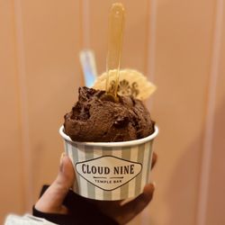 Cloud Nine - Vegan creamy chocolate gelato!