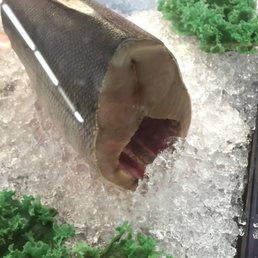 Salmon on September 16th. Salmon on September 16th.