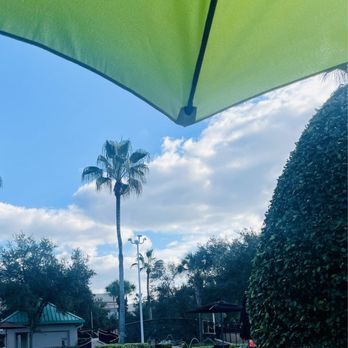Beech - Views - Bars Near Me - Orlando, Florida Beech - Views - Bars Near Me - Orlando, Florida