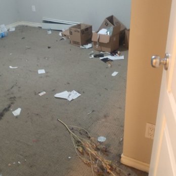 Jiffy Move - The mess they left after disaster packing job... Didn't know ya dump the contents from drawers onto floor first n go thro it... Geesh - Movers Near Me - Burnaby, British Columbia Jiffy Move - The mess they left after disaster packing job... Didn't know ya dump the contents from drawers onto floor first n go thro it... Geesh - Movers Near Me - Burnaby, British Columbia