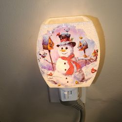 Brown Floral & Creations - Snowman night light. Isn't he just the cutest?