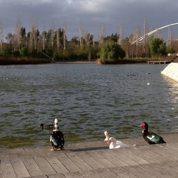 Parc de Capçalera - Parks Near Me - València, V Parc de Capçalera - Parks Near Me - València, V