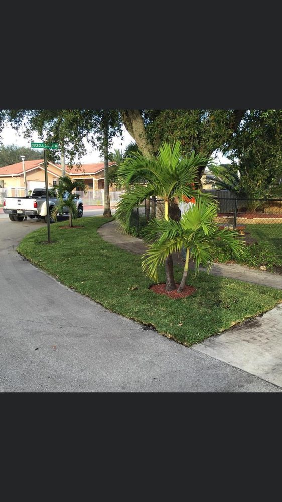 Slide of Treasure Coast Roof Cleaning Specialist