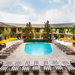 Hotel ZaZa Houston Museum District - Hotel ZaZa Houston Museum District Poolside
