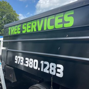 Tree Paradise Services - Tree Services Near Me
