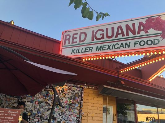 Red Iguana by null