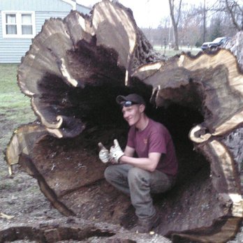 Gest Tree Services 23762 Us 12 Sturgis Mi Gest Tree Services
