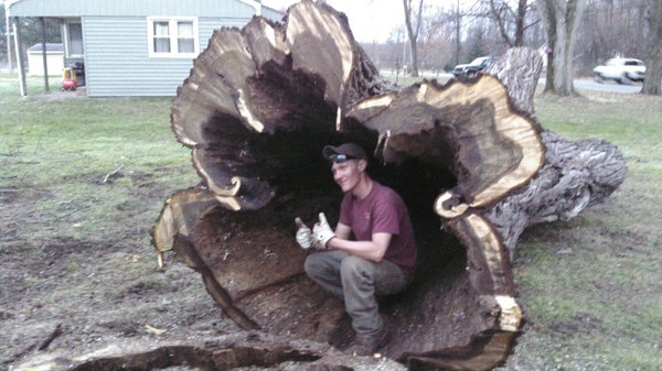 Gest Tree Services 23762 Us 12 Sturgis Mi Mapquest Gest Tree Services 23762 Us 12 Sturgis