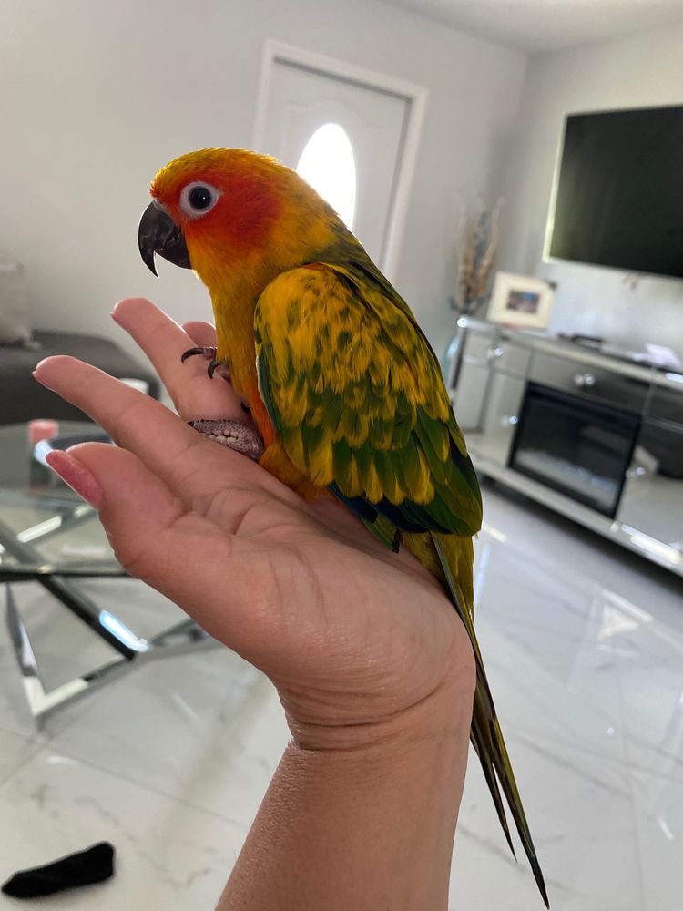 PALENZUELA FEED PET STORE Updated August 2024 12 Photos 6669 Lake