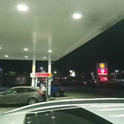 Shell - Shell of a man
