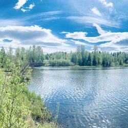 Westchester Lagoon Waterfowl Sanctuary