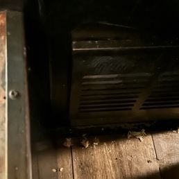 Filthy floors. My feet kept slipping with the discarded food underneath me from previous diners