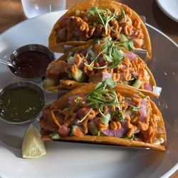 Snapper Seafood and Mexican Cuisine 