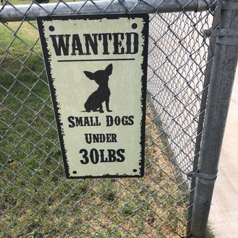 Waggin’ Trail Beal Dog Park - Dog Parks Near Me - Midland, Texas Waggin’ Trail Beal Dog Park - Dog Parks Near Me - Midland, Texas