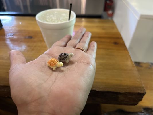 Turtle’s Bar & Grill by null