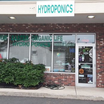 Nor Easter Organic Life Hydroponics Artificial Turf 515 College Hwy Southwick Ma Phone Number Yelp